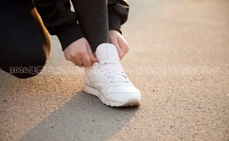 杏鑫咨询